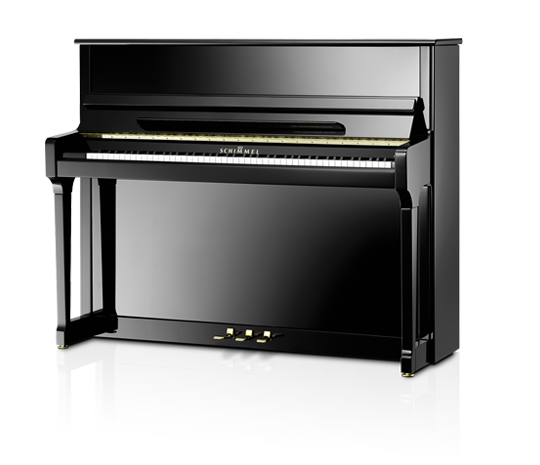 Schimmel Fridolin F-116 T