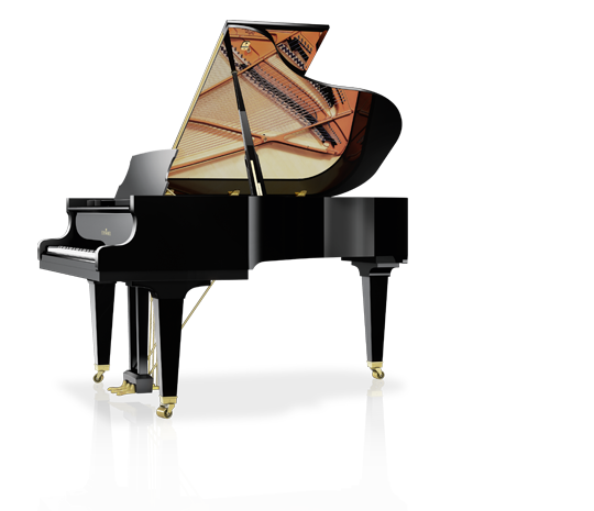 Schimmel Fridolin F-116 T