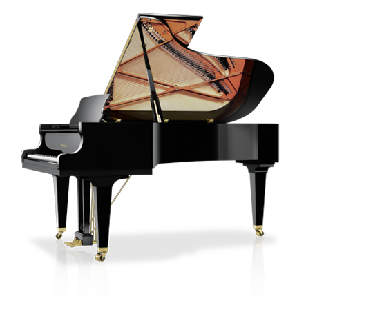 Schimmel Fridolin F-116 T