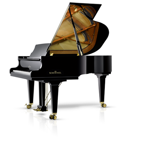 Schimmel Fridolin F-116 T