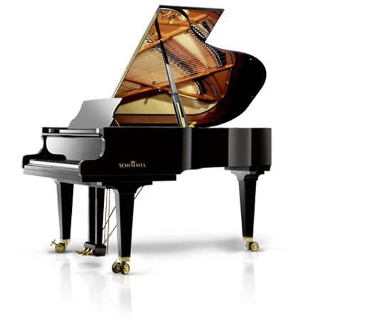 Schimmel Fridolin F-116 T