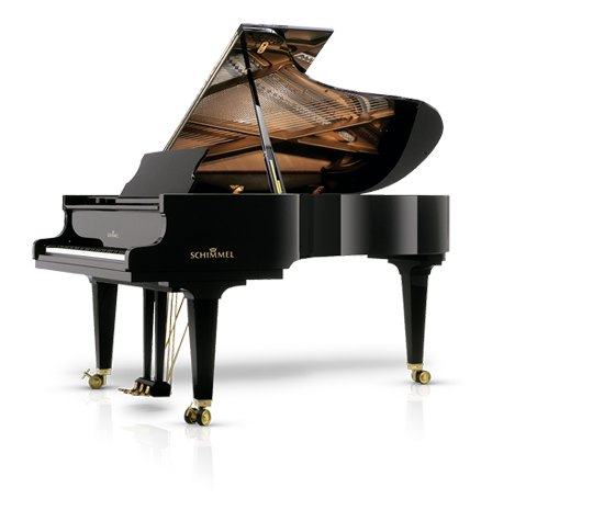 Schimmel Fridolin F-116 T