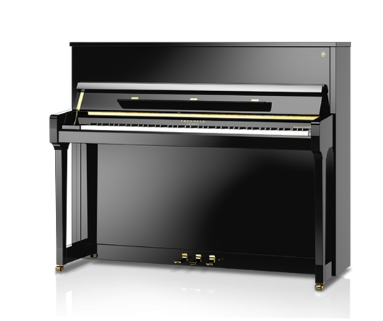 Schimmel Fridolin F-116 T
