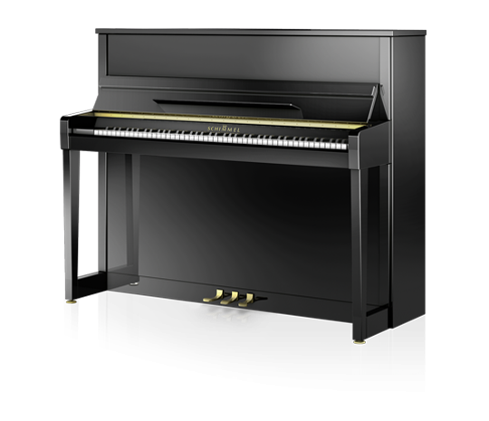 Schimmel Fridolin F-116 T