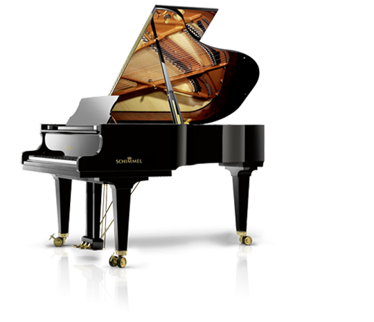 Schimmel Fridolin F-116 T