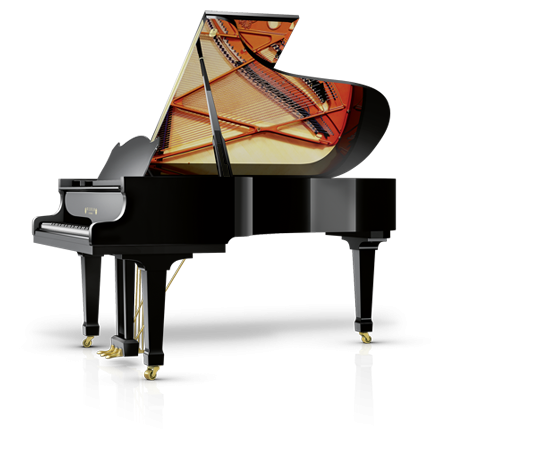 Schimmel Fridolin F-116 T