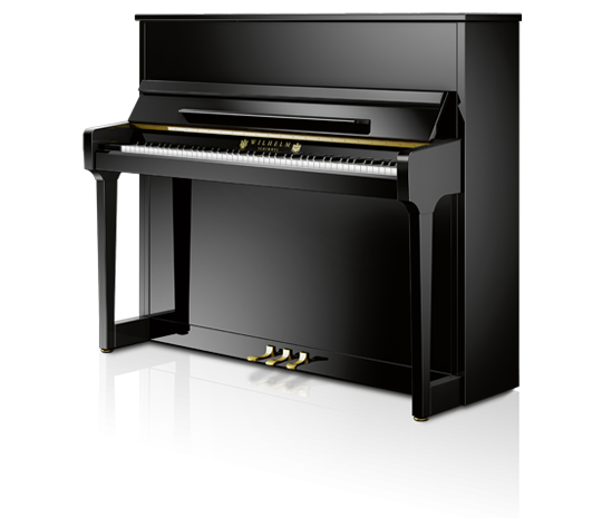 Schimmel Fridolin F-116 T